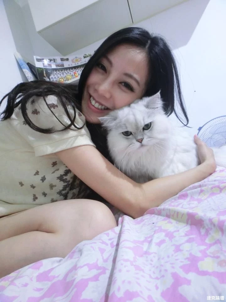 17397606.webp
