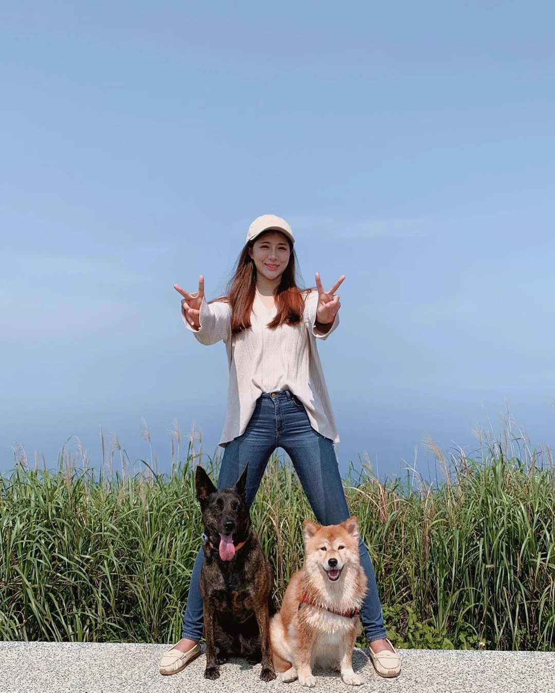 4038810.webp