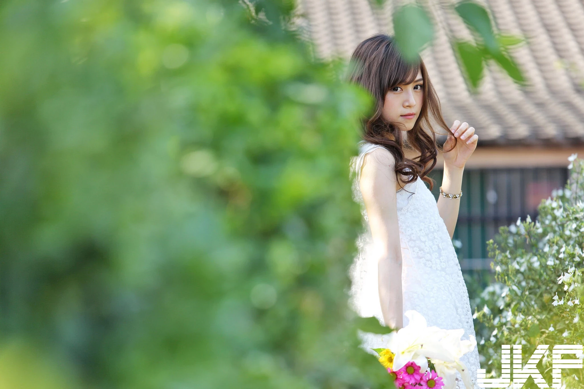 16843672.webp