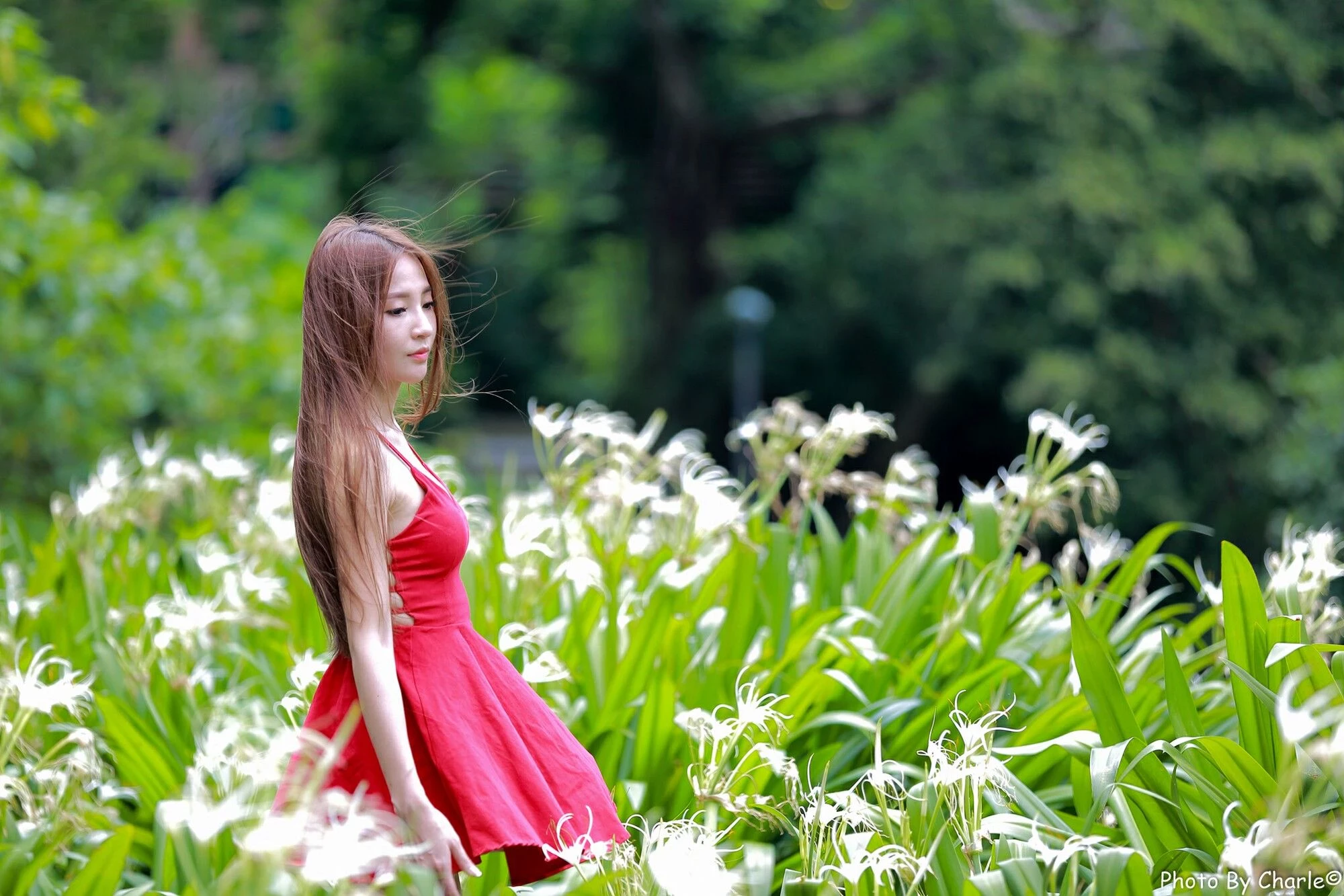4444150.webp