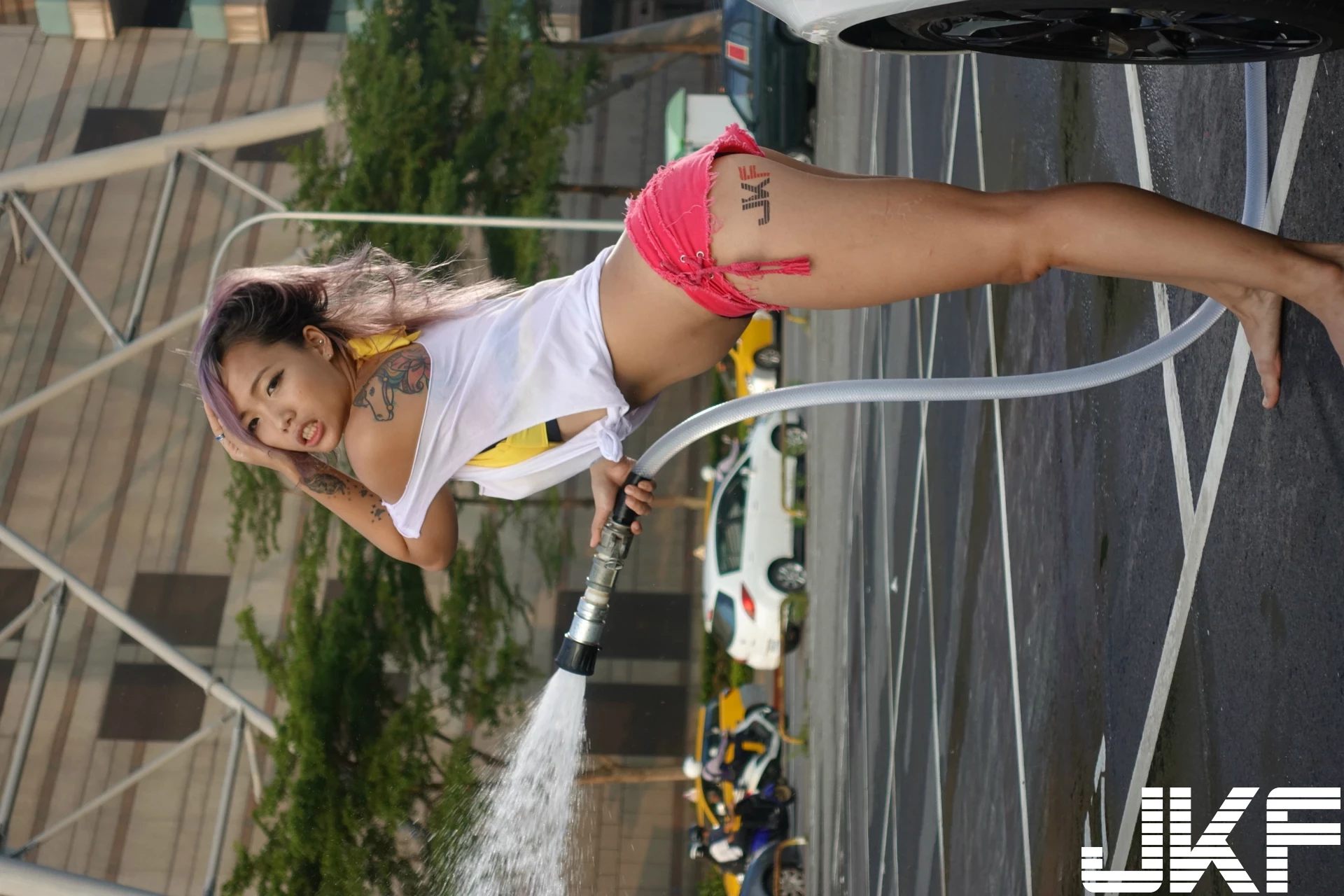 16854642.webp