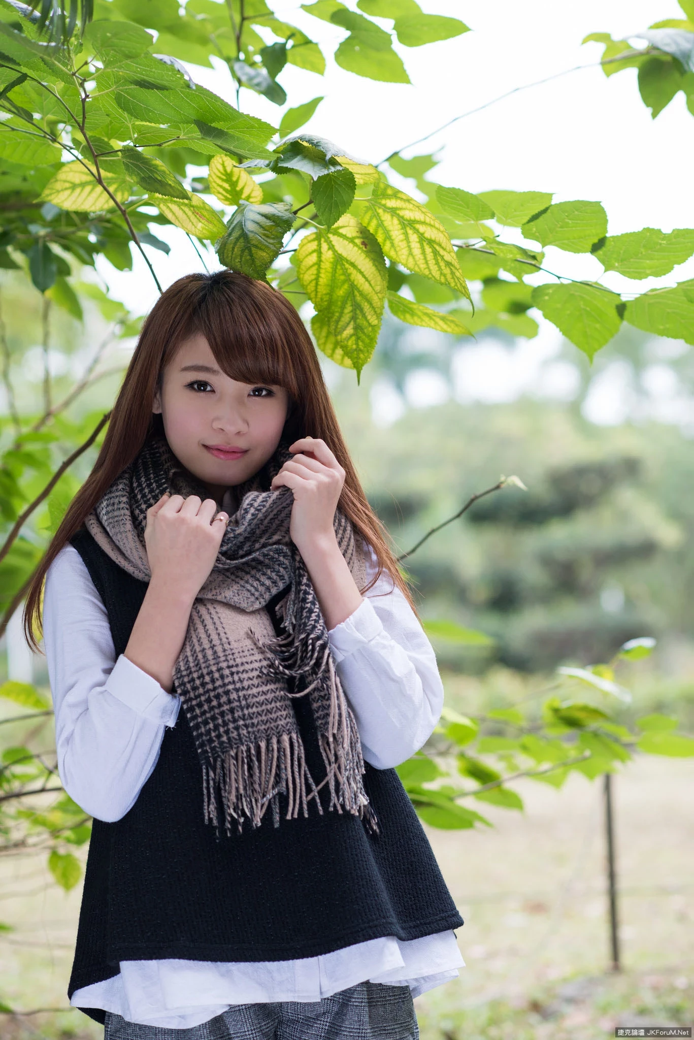 17087019.webp