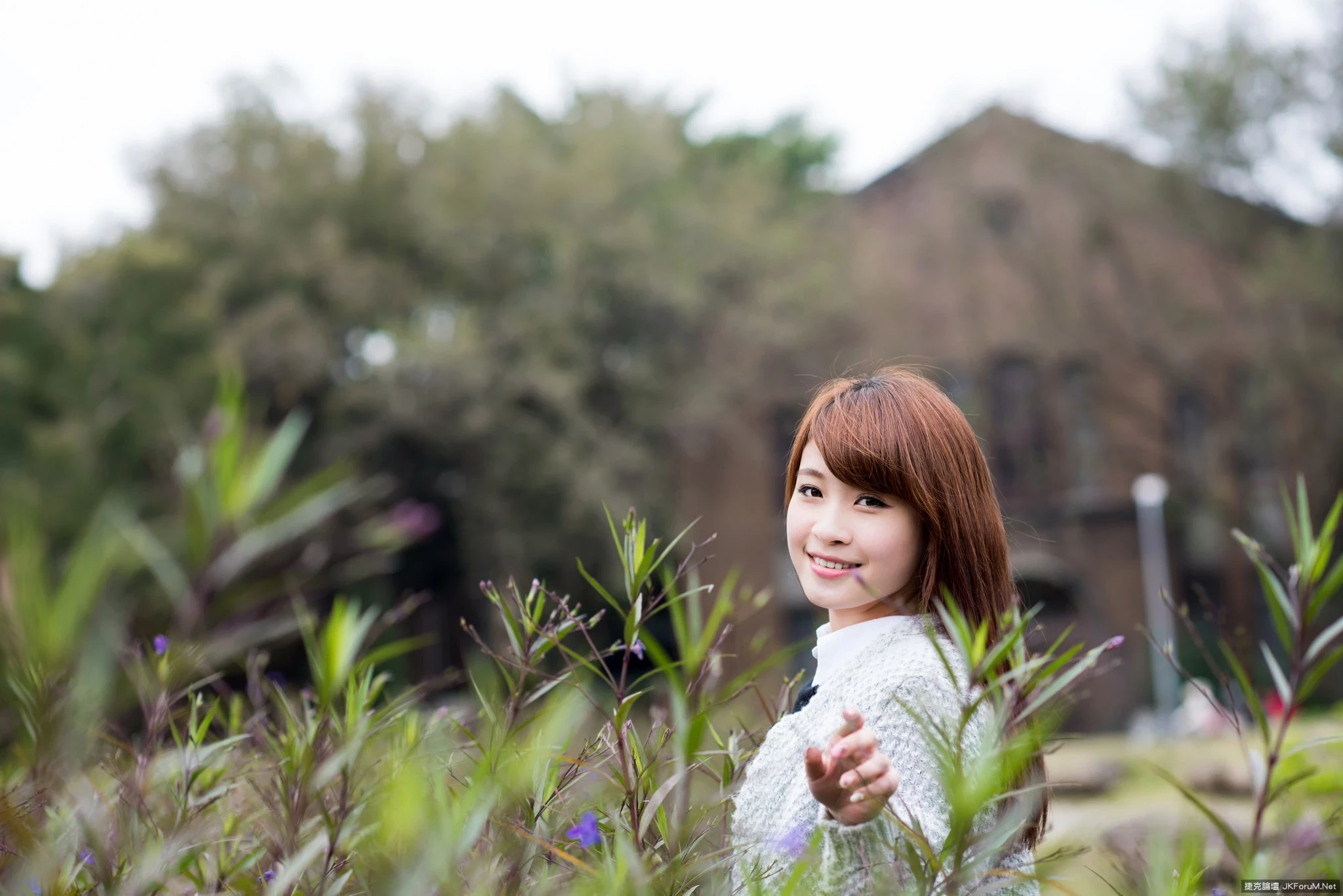 17087039.webp