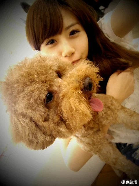 17355563.webp