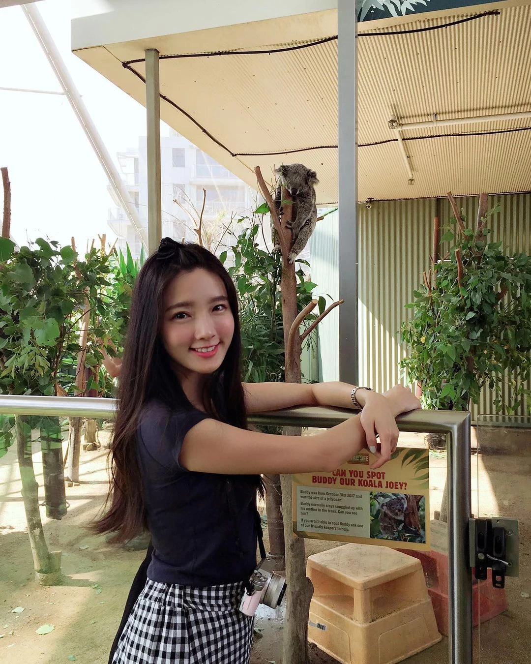 18404392.webp