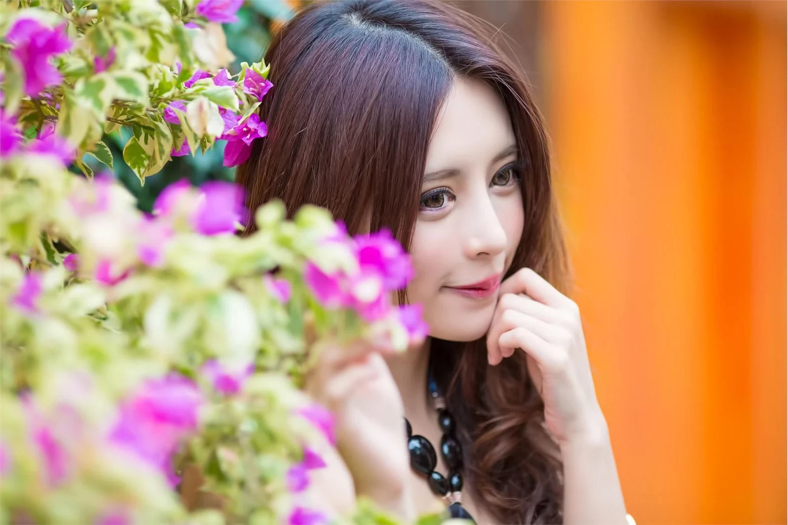 4407222.webp
