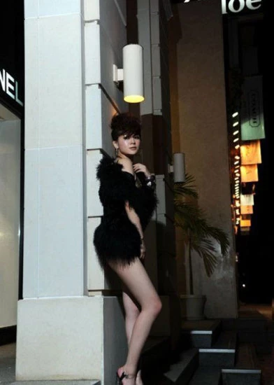 17821251.webp