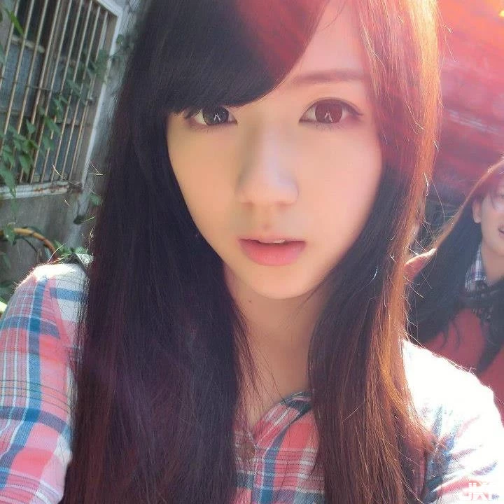 16873235.webp