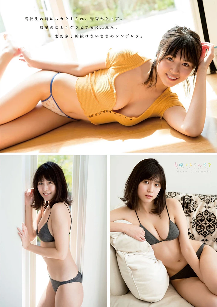 1775390.webp