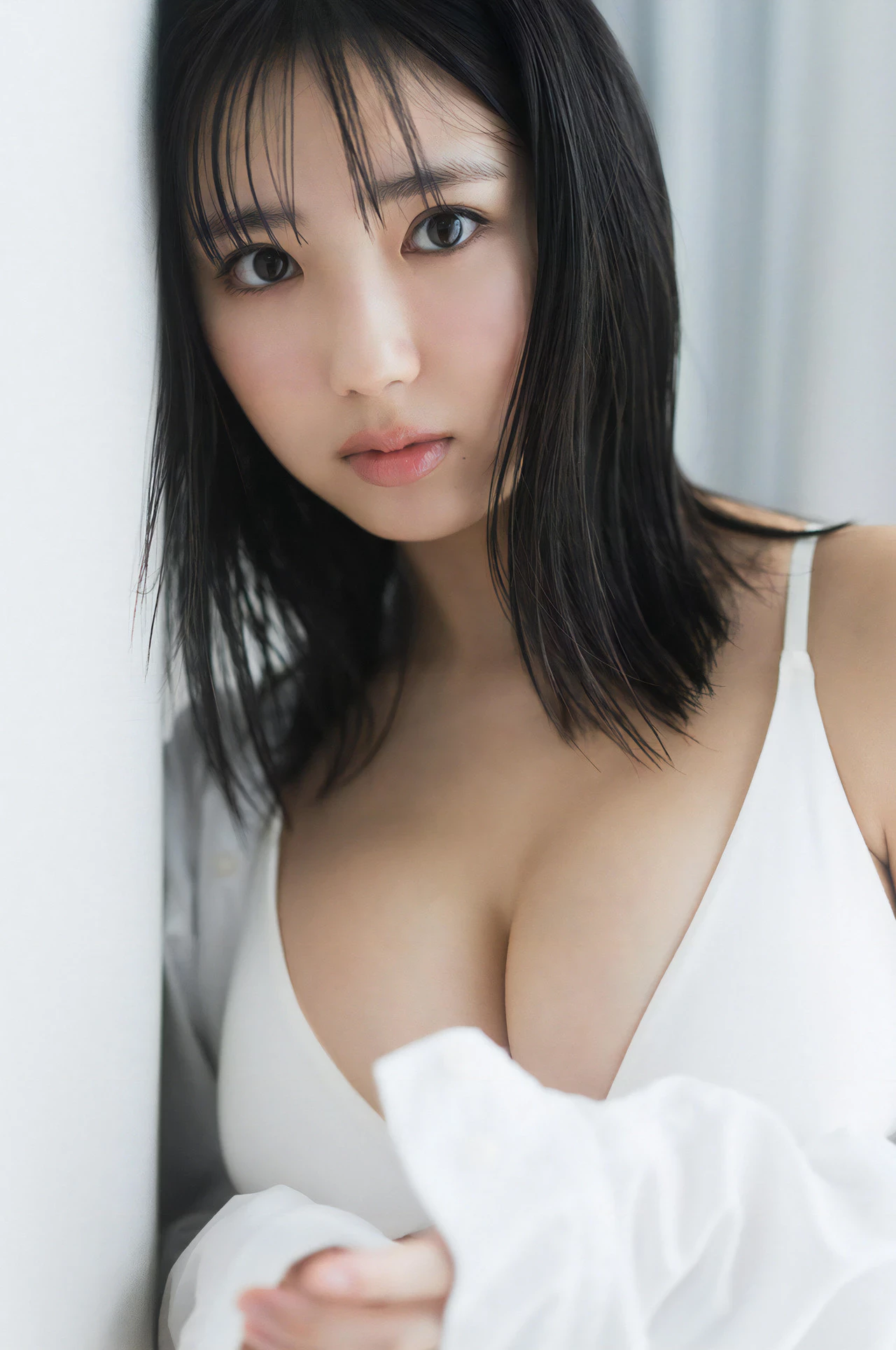 31293650.webp