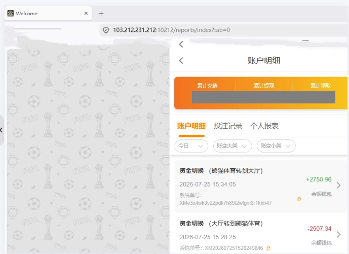 资金图3.png